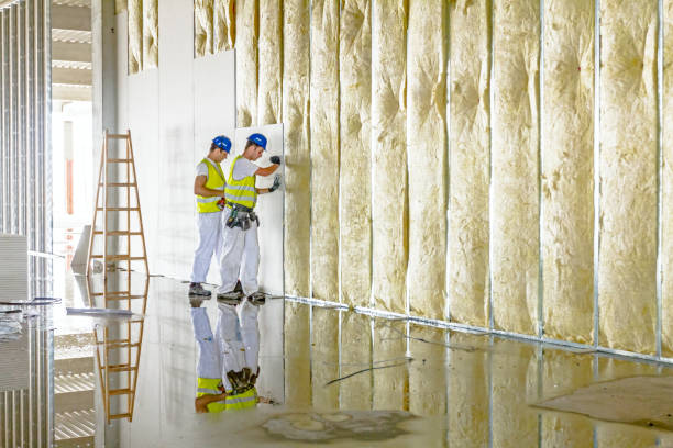 Best Types of Insulation in Basye, VA